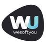 WeSoftYou Inc.