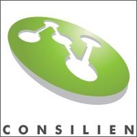 Consilien logo