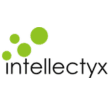 Intellectyx, Inc logo
