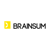BRAINSUM logo