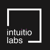 Intuitio Labs logo