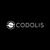 Codolis B.V. logo