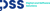 DSS - Digital and Software Solutions