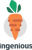 Ingenious logo