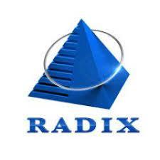 Radixweb logo