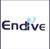 Endive Software logo