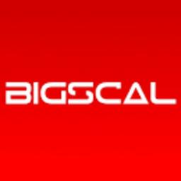 Bigscal Technologies logo