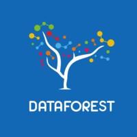 DATAFOREST logo