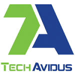 TechAvidus logo
