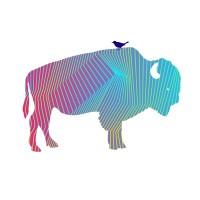 Bison & Bird logo
