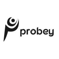 Probey Services Pvt ltd logo