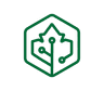 Platanor Technologies Software product development company logo