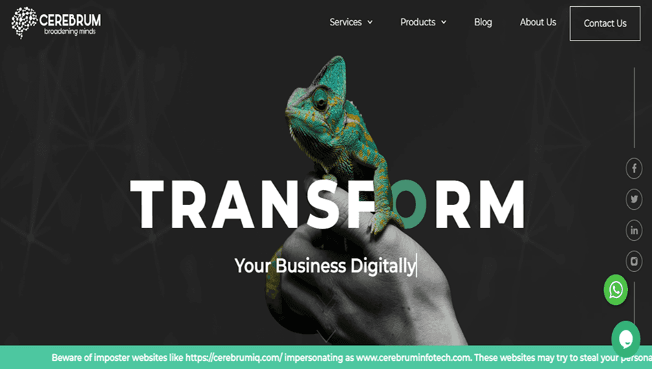 Cerebrum Infotech: Driving Digital Growth