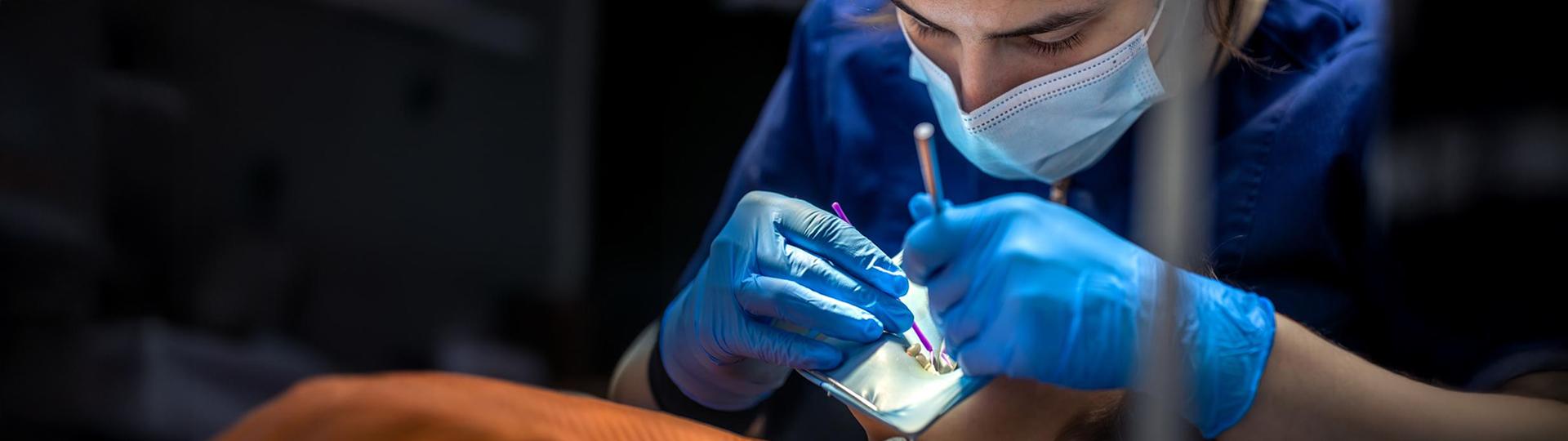 Schottlander Case Study - Phase 2