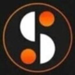 Synarion IT Solutions logo