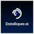 DataRopes.ai logo